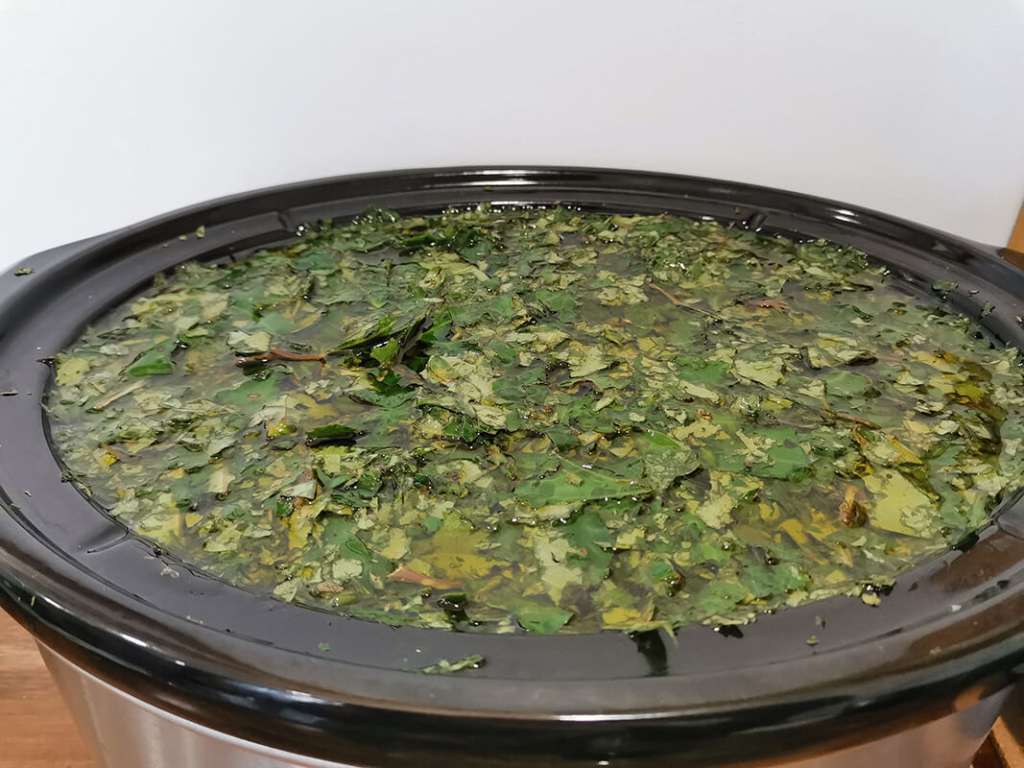 Kawakawa and Olive Oil in the Slow Cooker
